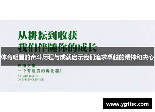 体育明星的奋斗历程与成就启示我们追求卓越的精神和决心
